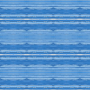 Blue stripes miamaria