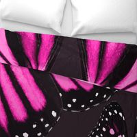 Giant Pink Monarch Butterfly Wings