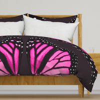 Giant Pink Monarch Butterfly Wings