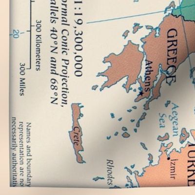 vintage map of Europe - yard