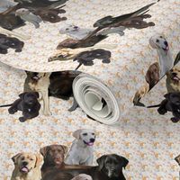 labrador retriever mural