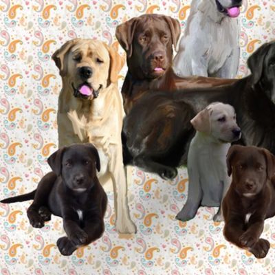 labrador retriever mural