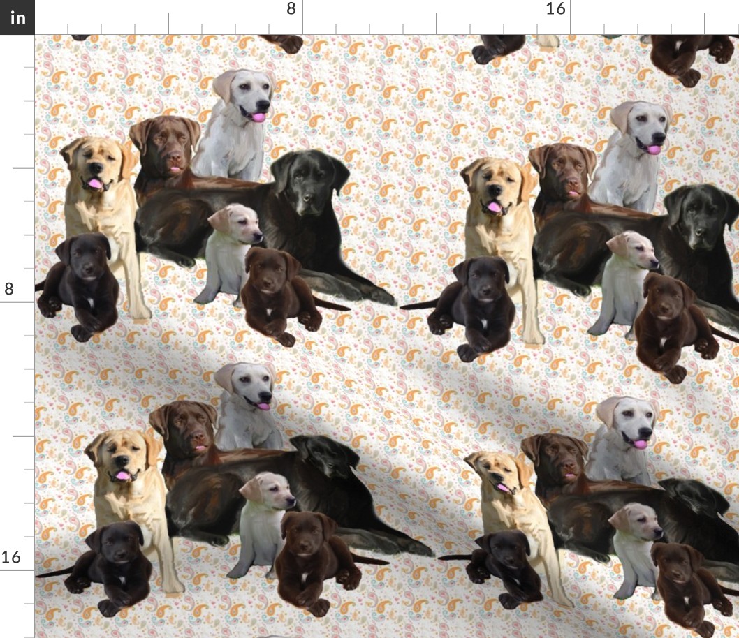 labrador retriever mural