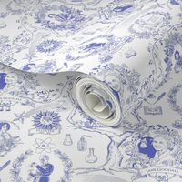 Women of Science and Learning Toile de Jouy