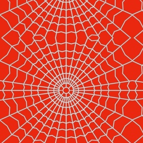 Spider Web on Bright Red