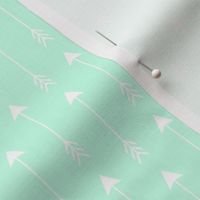 White Arrows on Mint