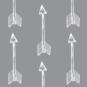 Shooting Arrows Grey