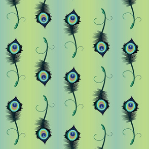 peacock_feather3