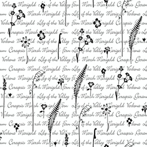 Garden Wall Script