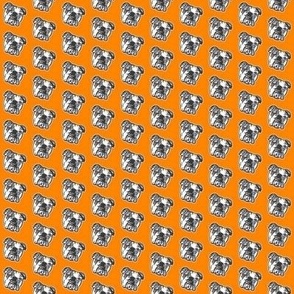 Bulldog orama MINI PRINT - Orange & Grey