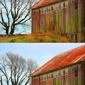 barnandtree