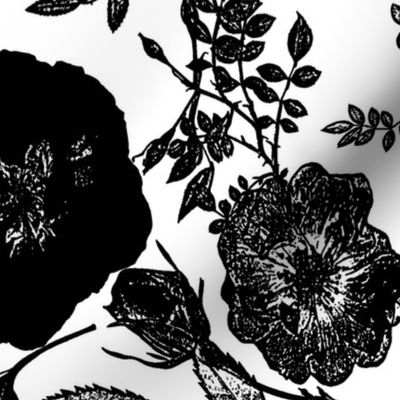 black rose vine silhouette