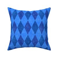 Faded Blue Velvet Harlequin