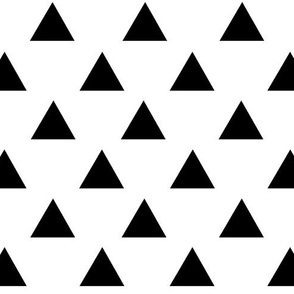Black Triangles Smaller