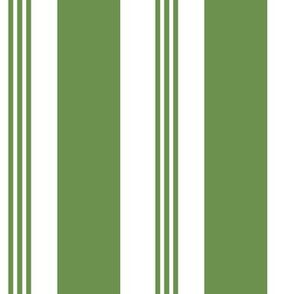 Chair Stripe Green