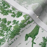 Green Greyhound Toile 