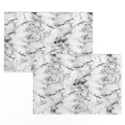 Marble Texture in Black and White