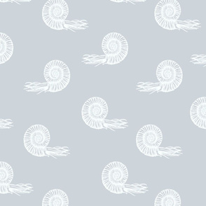 ammonite gray and white 50