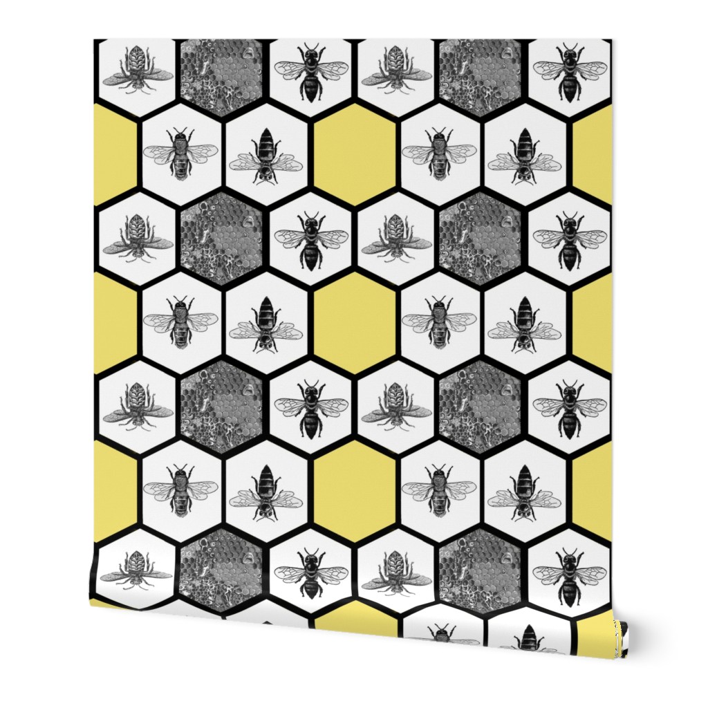 HoneyComb & Honey Bees, Beehive, Black & Yellow Hexagon