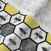 HoneyComb & Honey Bees, Beehive, Black & Yellow Hexagon