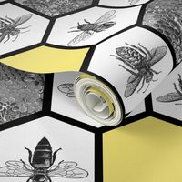 HoneyComb & Honey Bees, Beehive, Black & Yellow Hexagon