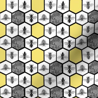 HoneyComb & Honey Bees, Beehive, Black & Yellow Hexagon