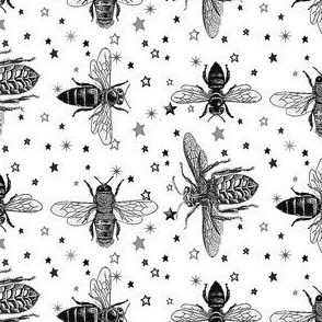 Black and White Honey Bees on Greyscale Stars, Vintage Insect Drawings