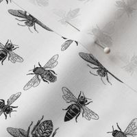 Black and White Honey Bees, Vintage Insect Drawings