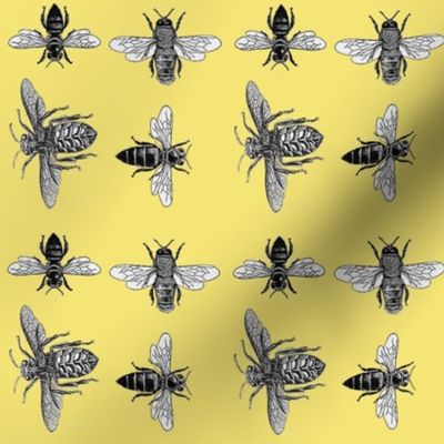  Honey Bees, Black and White Vintage Insects on Buttery Yellow