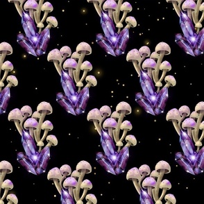 Mushrooms and Purple Crystals
