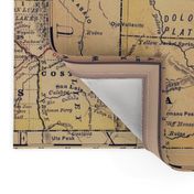 vintage Colorado map, XL (large yard)