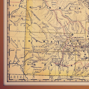 vintage Colorado map, XL (large yard)