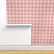 cream and coral gingham, 1/4" squares 