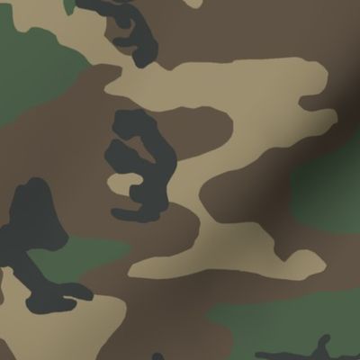 M81 Woodland Camo