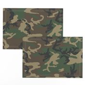 M81 Woodland Camo