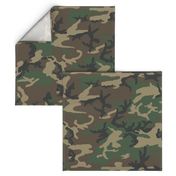 M81 Woodland Camo