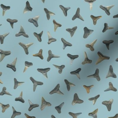 shark teeth on greyed teal