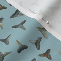 shark teeth on greyed teal