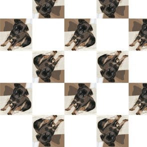 Petit_pattern2