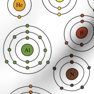 Periodic Shells (Fall)