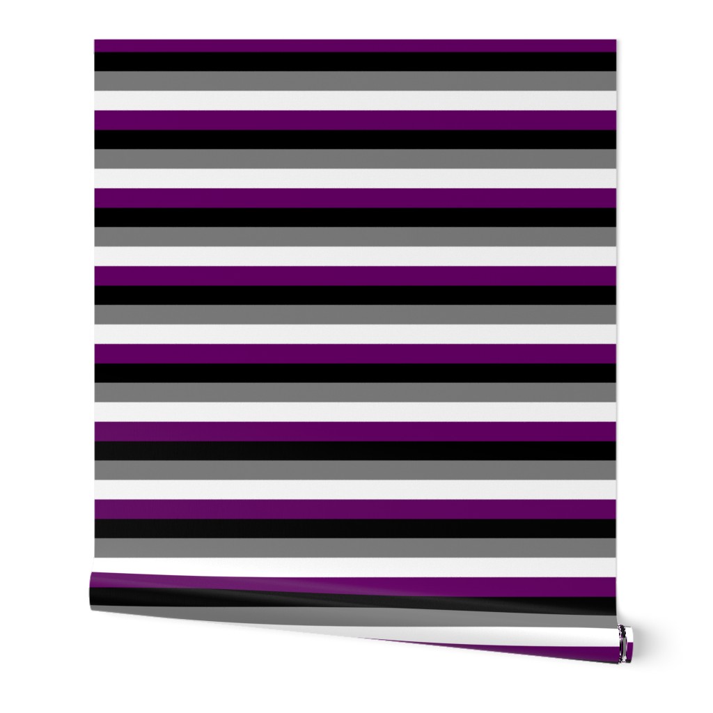 Ace Pride Stripes - 1/2 inch