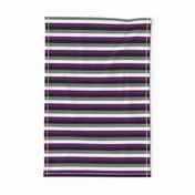 Ace Pride Stripes - 1/2 inch