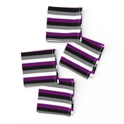 Ace Pride Stripes - 1/2 inch