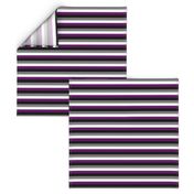 Ace Pride Stripes - 1/2 inch