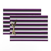 Ace Pride Stripes - 1/2 inch