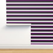 Ace Pride Stripes - 1/2 inch