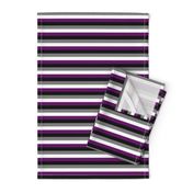 Ace Pride Stripes - 1/2 inch