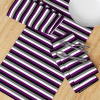 Ace Pride Stripes - 1/2 inch