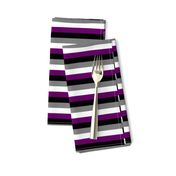 Ace Pride Stripes - 1/2 inch