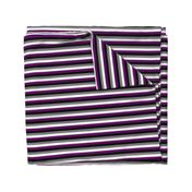 Ace Pride Stripes - 1/2 inch